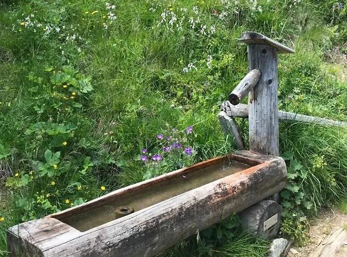 Ferienapartment Appartement